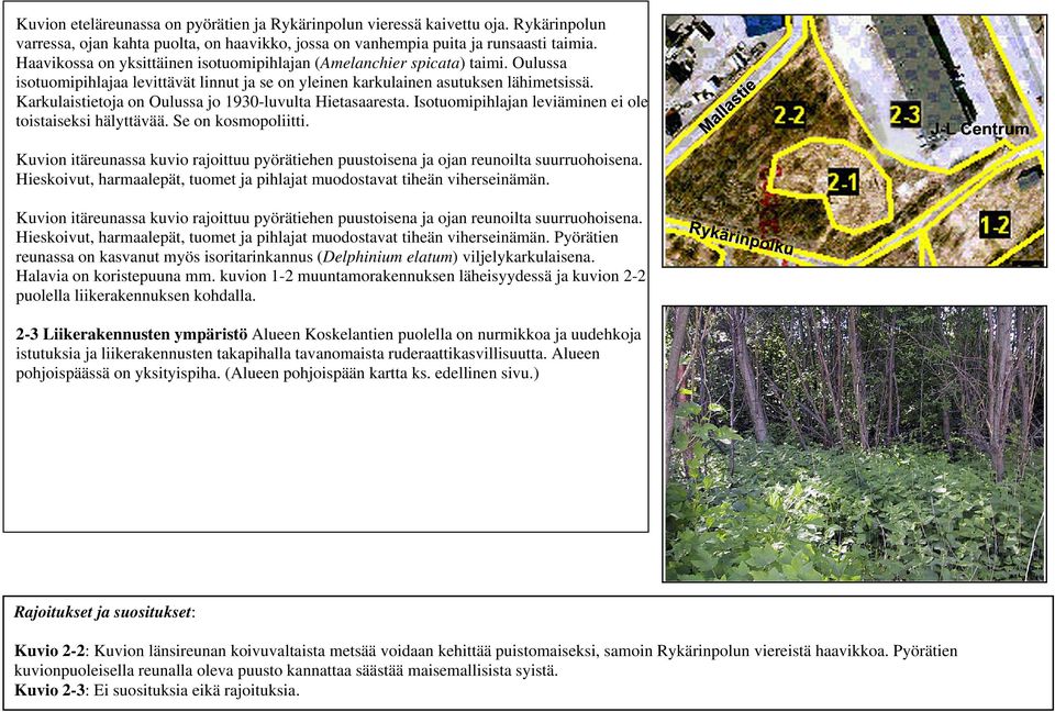 Karkulaistietoja on Oulussa jo 1930-luvulta Hietasaaresta. Isotuomipihlajan leviäminen ei ole toistaiseksi hälyttävää. Se on kosmopoliitti.