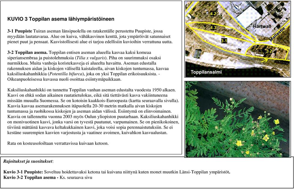 Toppilan entisen aseman alueella kasvaa kaksi komeaa siperiansembraa ja puistolehmuksia (Tilia x vulgaris). Piha on suurimmaksi osaksi nurmikkoa. Muita vanhoja koristekasveja ei alueelta havaittu.