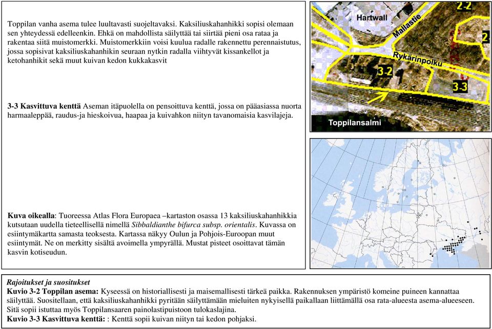 Muistomerkkiin voisi kuulua radalle rakennettu perennaistutus, jossa sopisivat kaksiliuskahanhikin seuraan nytkin radalla viihtyvät kissankellot ja ketohanhikit sekä muut kuivan kedon kukkakasvit 3-3