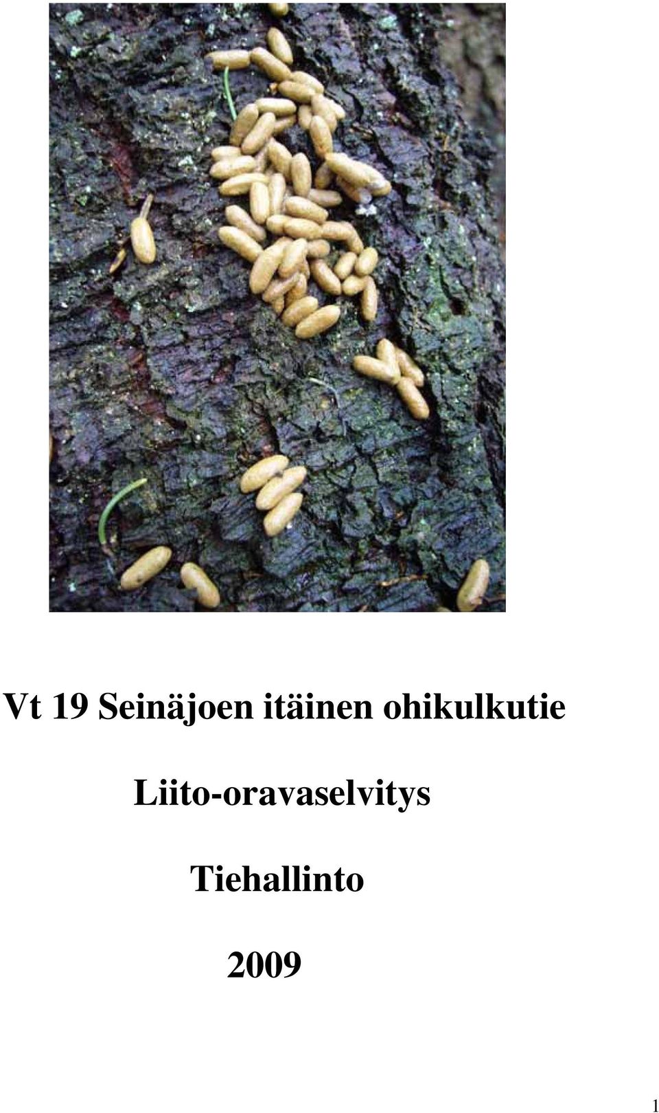 ohikulkutie