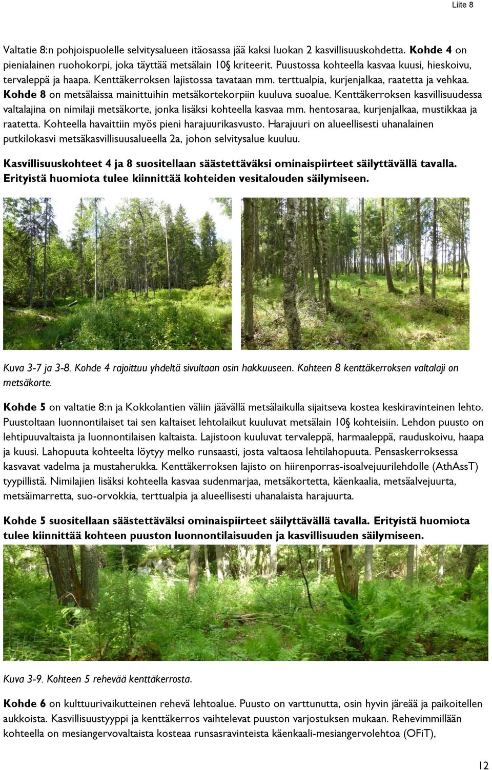 Kohde 8 on metsälaissa mainittuihin metsäkortekorpiin kuuluva suoalue. Kenttäkerroksen kasvillisuudessa valtalajina on nimilaji metsäkorte, jonka lisäksi kohteella kasvaa mm.