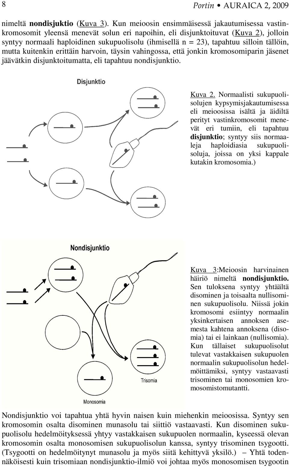 tapahtuu silloin tällöin, mutta kuitenkin erittäin harvoin, täysin vahingossa, että jonkin kromosomiparin jäsenet jäävätkin disjunktoitumatta, eli tapahtuu nondisjunktio. Kuva 2.