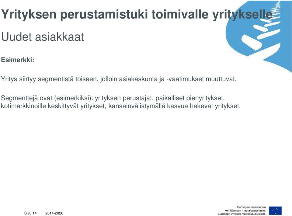 Segmenttejä ovat (esimerkiksi): yrityksen perustajat, paikalliset pienyritykset,