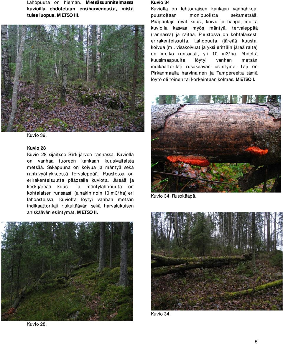 visakoivua) ja yksi erittäin järeä raita) on melko runsaasti, yli 10 m3/ha. Yhdeltä kuusimaapuulta löytyi vanhan metsän indikaattorilaji rusokäävän esiintymä.