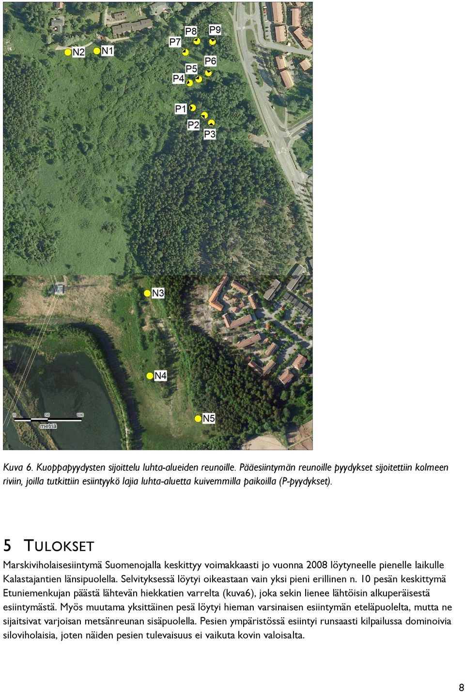 5 TULOKSET Marskiviholaisesiintymä Suomenojalla keskittyy voimakkaasti jo vuonna 2008 löytyneelle pienelle laikulle Kalastajantien länsipuolella.