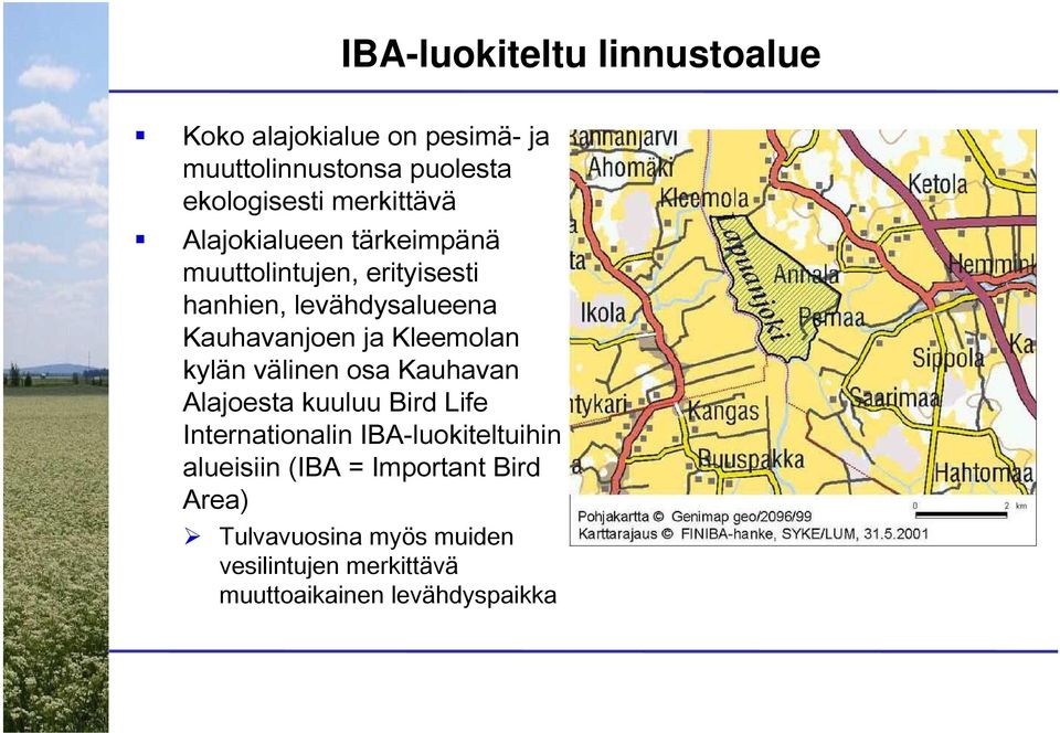 ja Kleemolan kylän välinen osa Kauhavan Alajoesta kuuluu Bird Life Internationalin IBA-luokiteltuihin