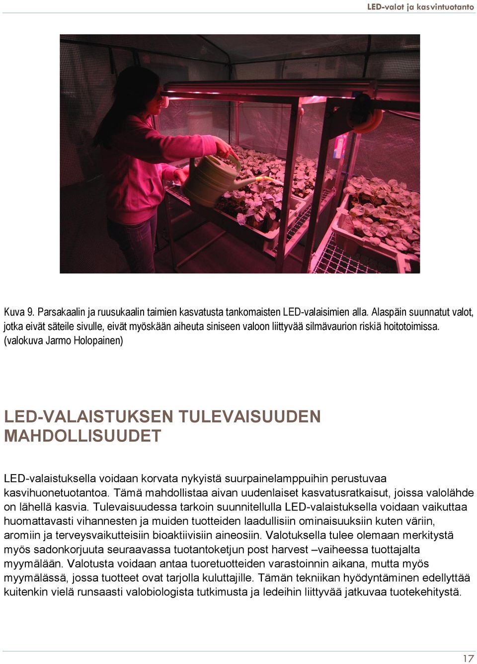 (valokuva Jarmo Holopainen) LED-VALAISTUKSEN TULEVAISUUDEN MAHDOLLISUUDET LED-valaistuksella voidaan korvata nykyistä suurpainelamppuihin perustuvaa kasvihuonetuotantoa.