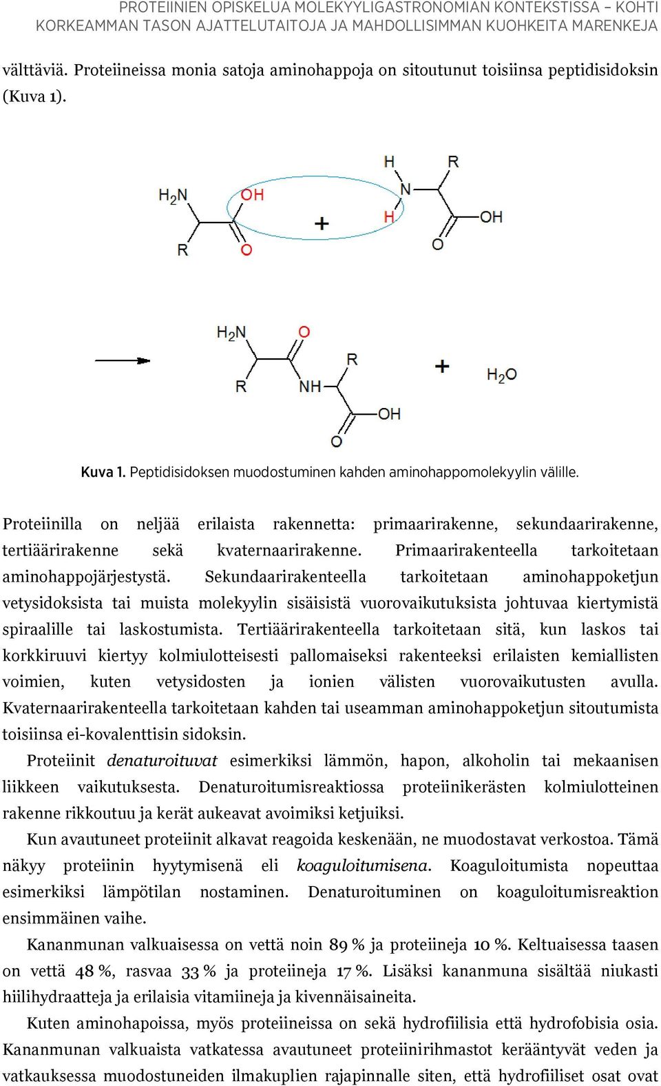 Proteiinilla on neljää erilaista rakennetta: primaarirakenne, sekundaarirakenne, tertiäärirakenne sekä kvaternaarirakenne. Primaarirakenteella tarkoitetaan aminohappojärjestystä.