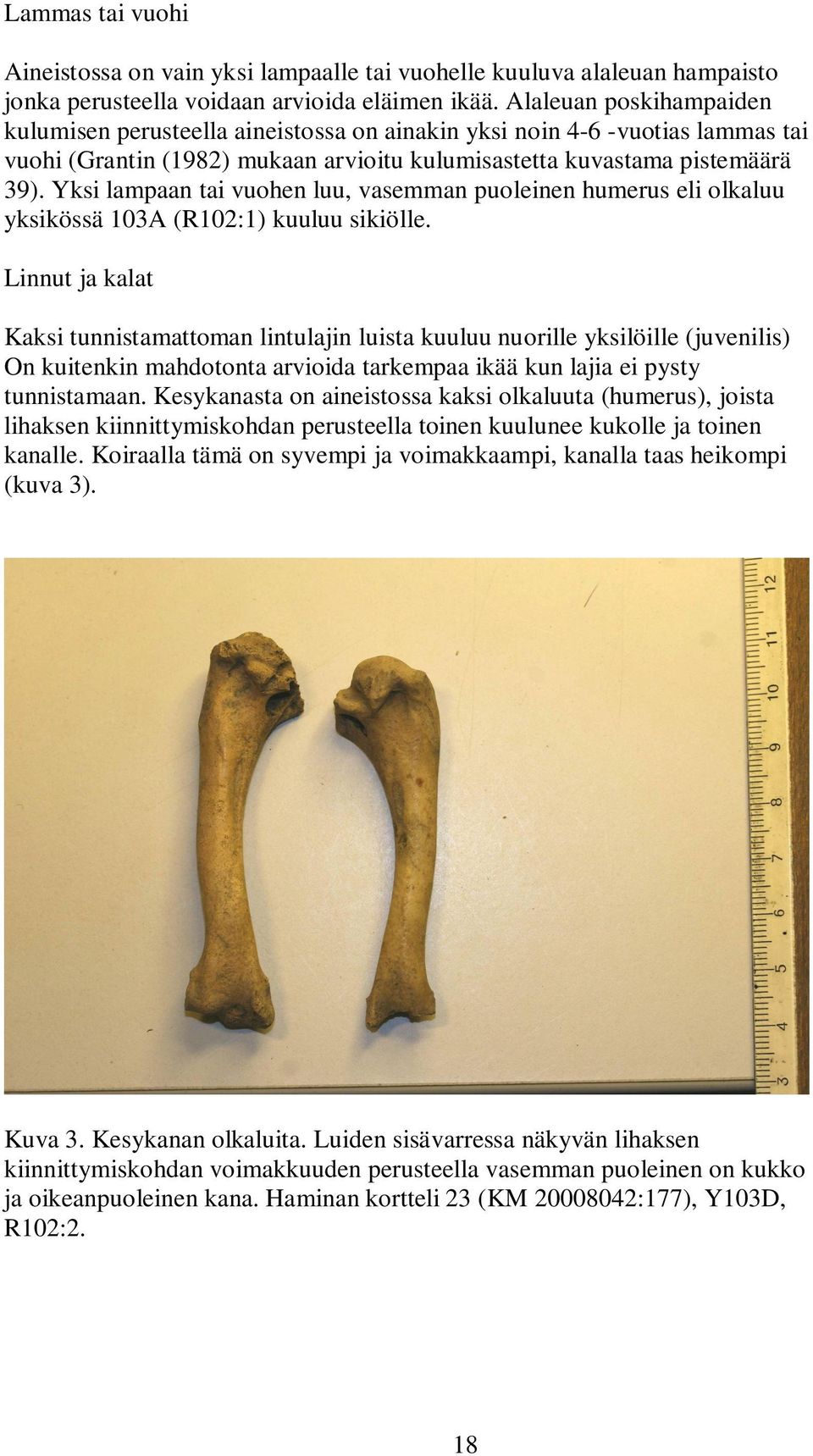 Yksi lampaan tai vuohen luu, vasemman puoleinen humerus eli olkaluu yksikössä 103A (R102:1) kuuluu sikiölle.