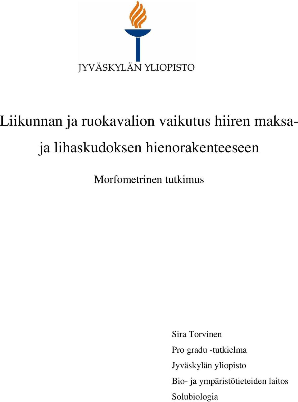 tutkimus Sira Torvinen Pro gradu -tutkielma