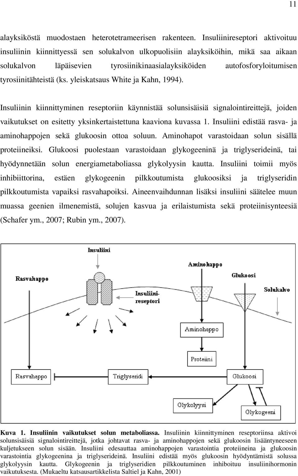 tyrosiinitähteistä (ks. yleiskatsaus White ja Kahn, 1994).