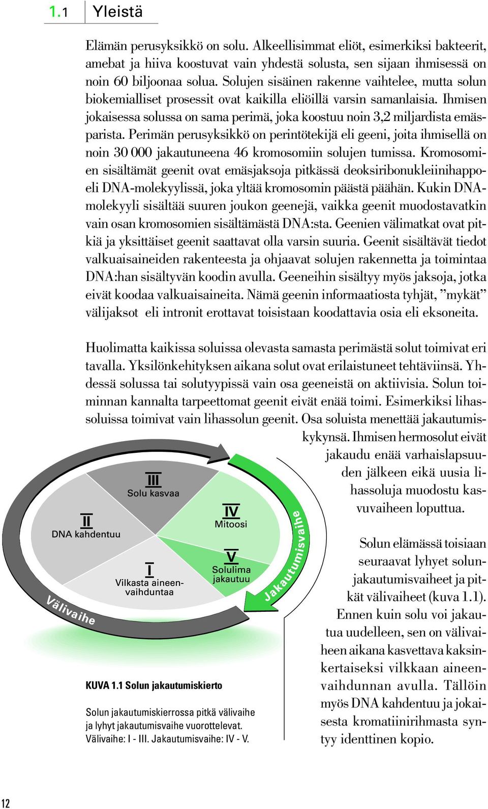 Ihmisen jokaisessa solussa on sama perimä, joka koostuu noin 3,2 miljardista emäsparista.