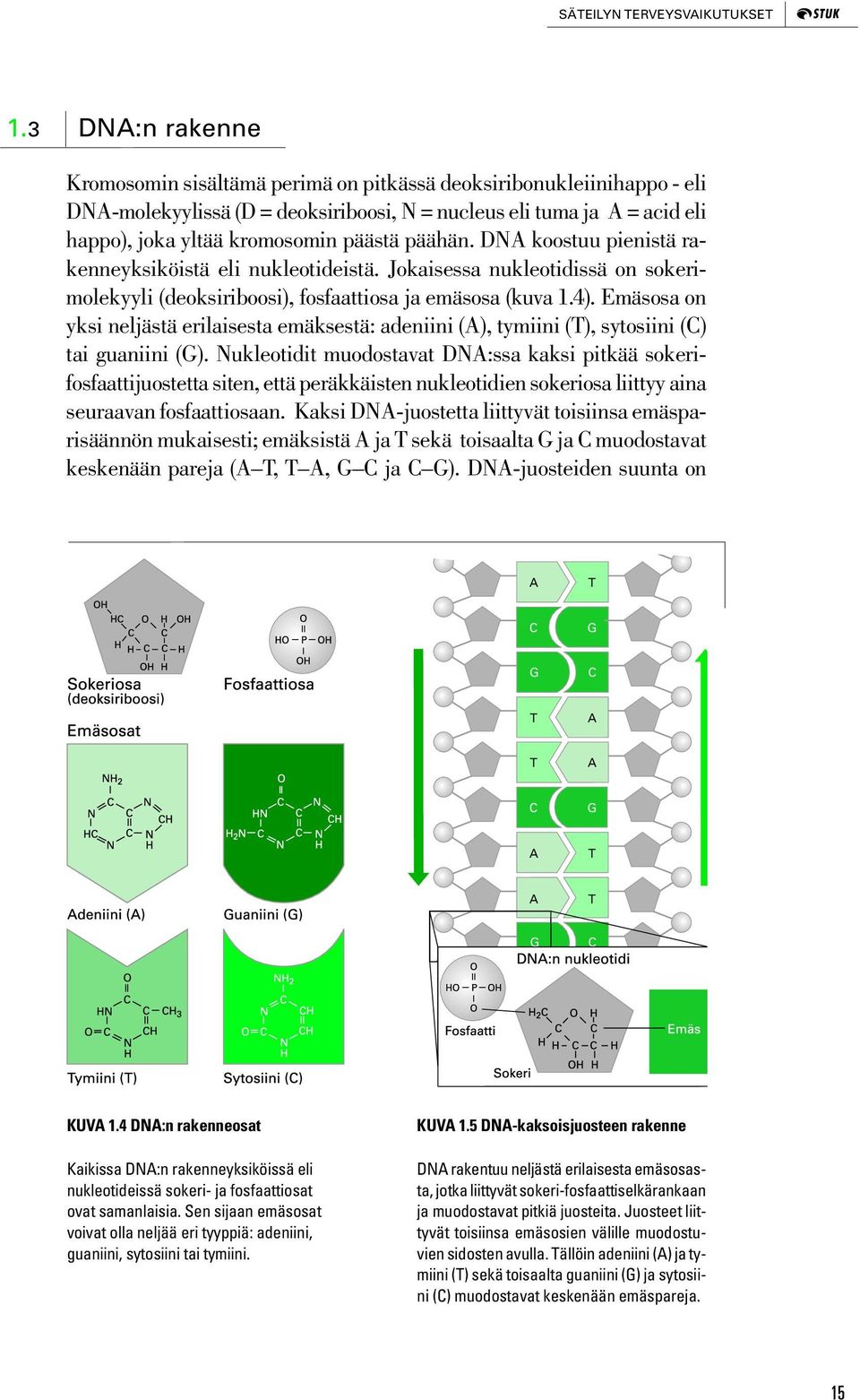 päähän. DNA koostuu pienistä rakenneyksiköistä eli nukleotideistä. Jokaisessa nukleotidissä on sokerimolekyyli (deoksiriboosi), fosfaattiosa ja emäsosa (kuva 1.4).