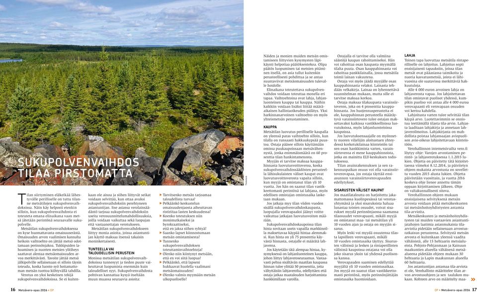 Metsätilan sukupolvenvaihdoksessa on kyse huomattavasta omaisuuserästä. Omaisuuden arvon vaalimisen kannalta heikoin vaihtoehto on jättää metsä odottamaan perinnönjakoa.