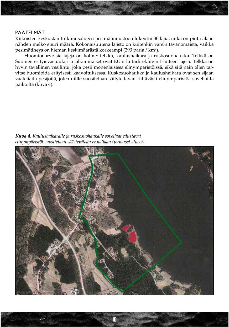 Huomionarvoisia lajeja on kolme: telkkä, kaulushaikara ja ruskosuohaukka. Telkkä on Suomen erityisvastuulaji ja jälkimmäiset ovat EU:n lintudirektiivin I-liitteen lajeja.