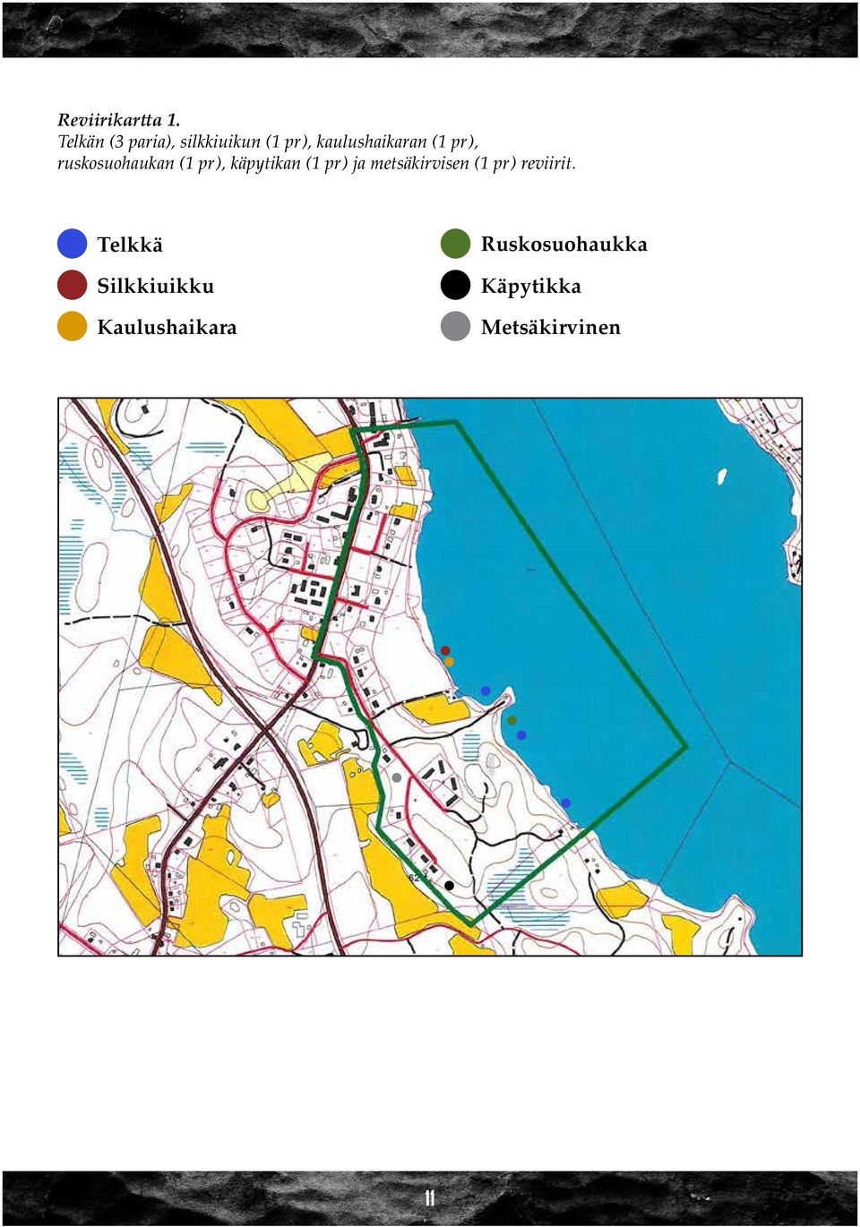 pr), ruskosuohaukan (1 pr), käpytikan (1 pr) ja