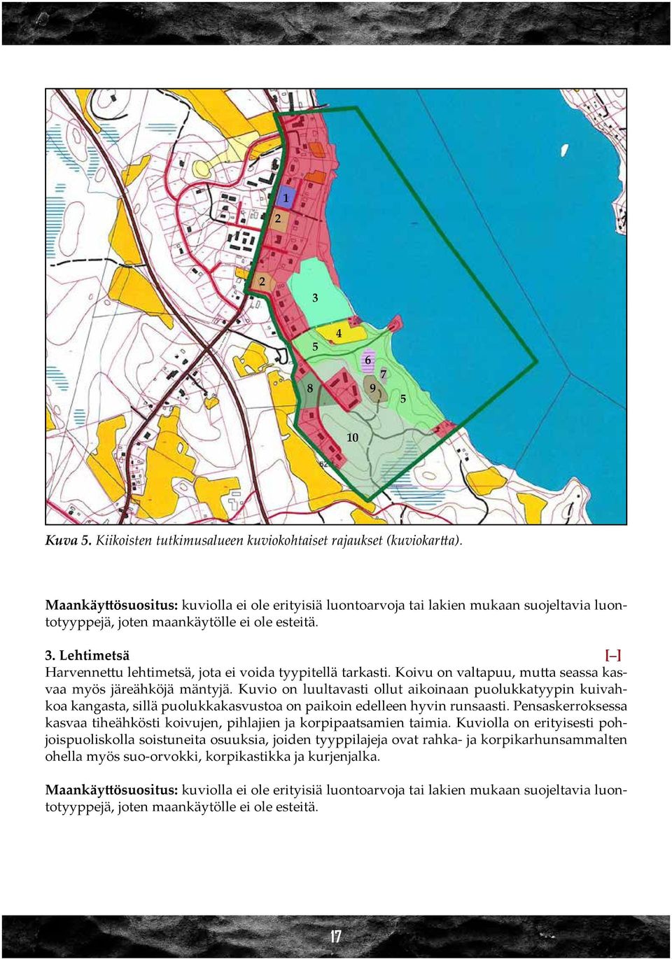 Lehtimetsä [ ] Harvennettu lehtimetsä, jota ei voida tyypitellä tarkasti. Koivu on valtapuu, mutta seassa kasvaa myös järeähköjä mäntyjä.