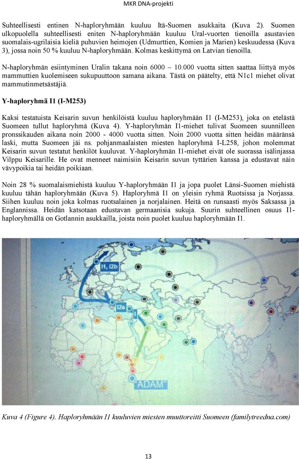 jossa noin 50 % kuuluu N-haploryhmään. Kolmas keskittymä on Latvian tienoilla. N-haploryhmän esiintyminen Uralin takana noin 6000 10.