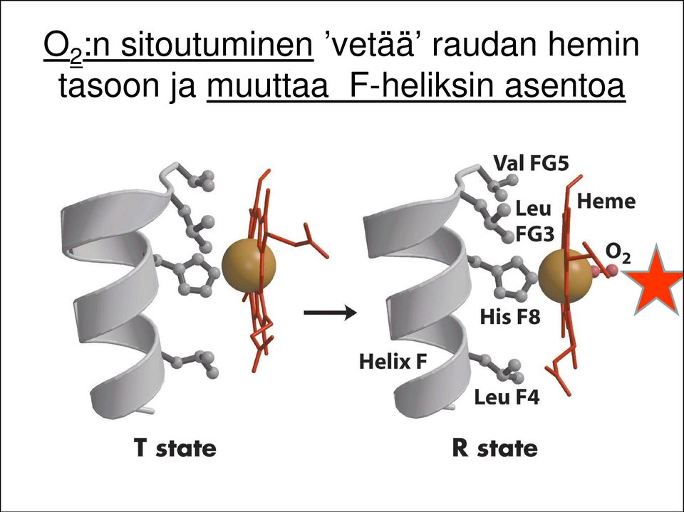 raudan hemin