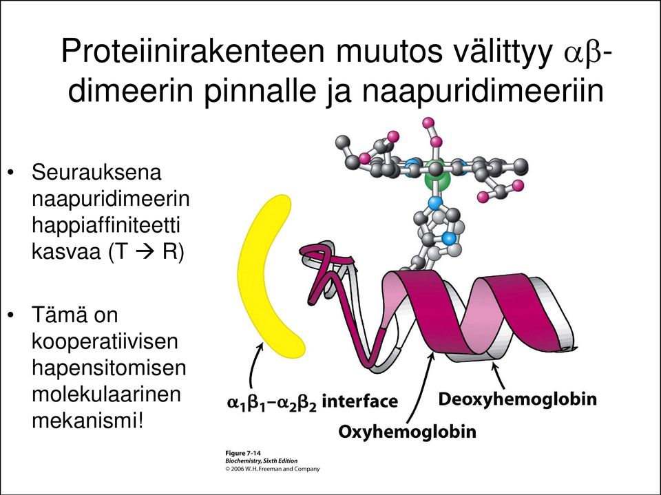 naapuridimeerin happiaffiniteetti kasvaa (T R)