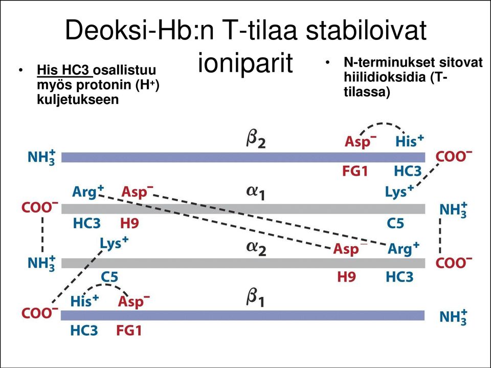 kuljetukseen ioniparit