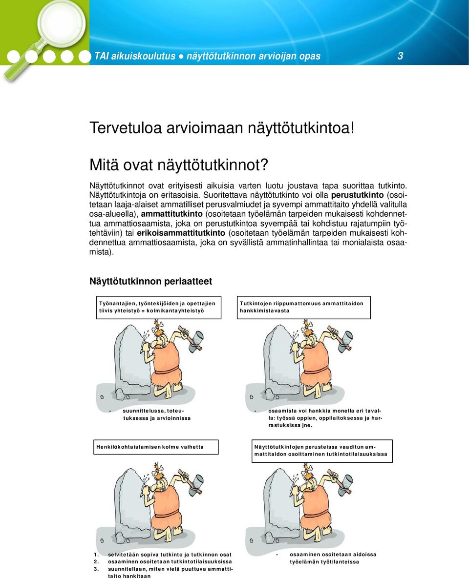 Suoritettava näyttötutkinto voi olla perustutkinto (osoitetaan laaja-alaiset ammatilliset perusvalmiudet ja syvempi ammattitaito yhdellä valitulla osa-alueella), ammattitutkinto (osoitetaan työelämän
