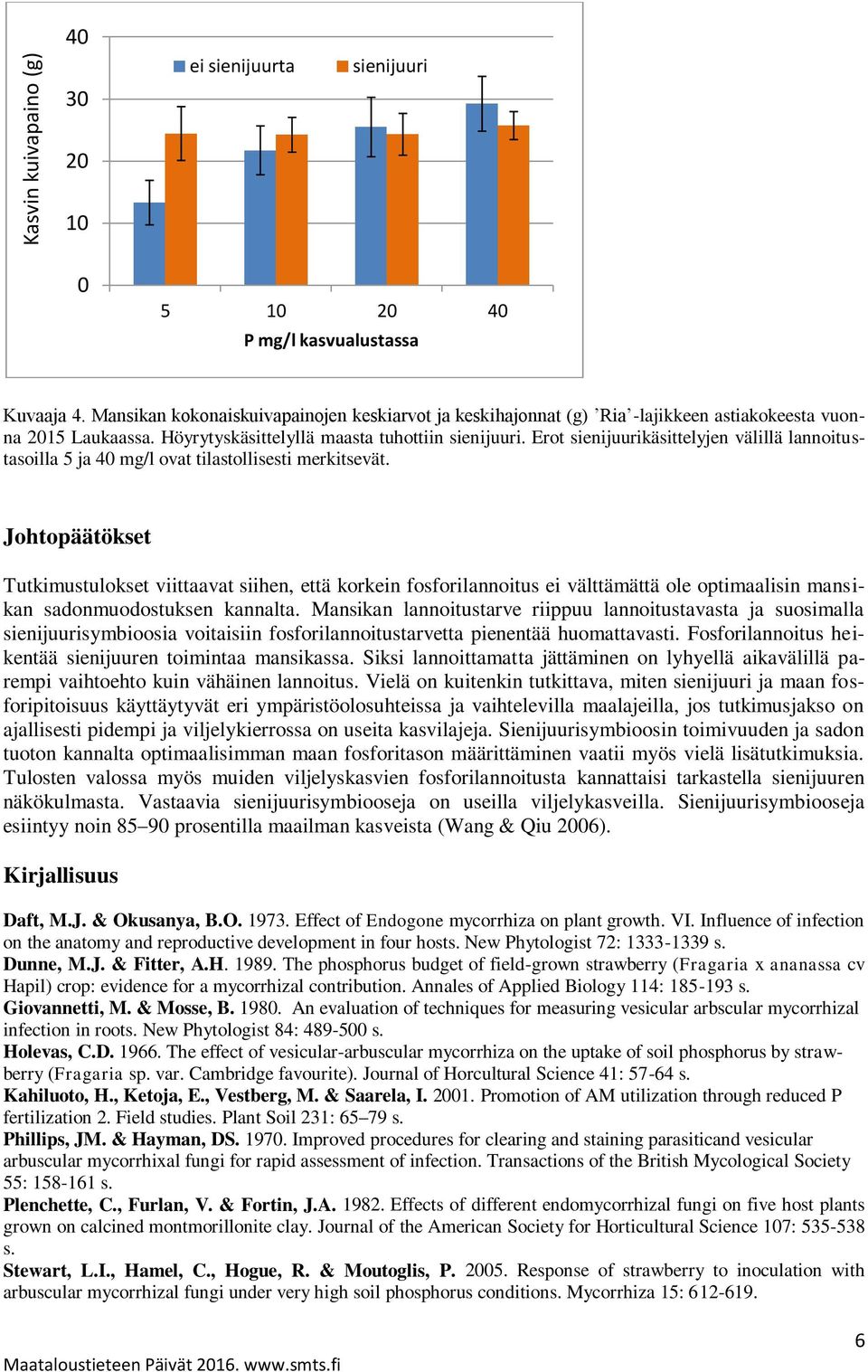 Erot sienijuurikäsittelyjen välillä lannoitustasoilla 5 ja 40 mg/l ovat tilastollisesti merkitsevät.