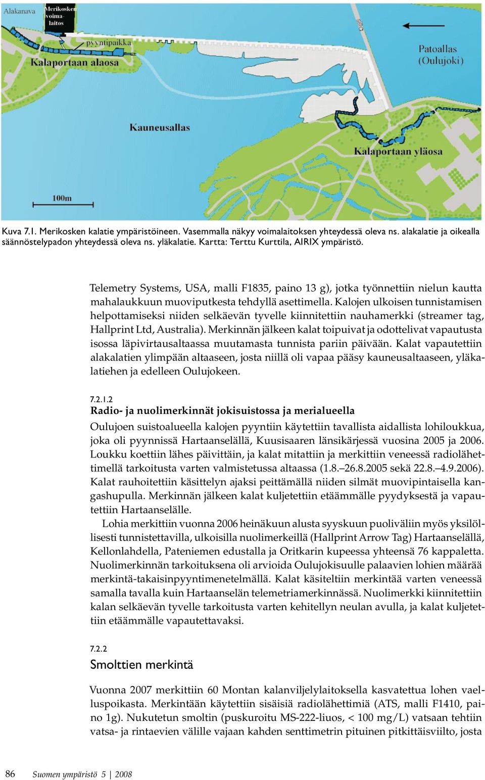 Kalojen ulkoisen tunnistamisen helpottamiseksi niiden selkäevän tyvelle kiinnitettiin nauhamerkki (streamer tag, Hallprint Ltd, Australia).