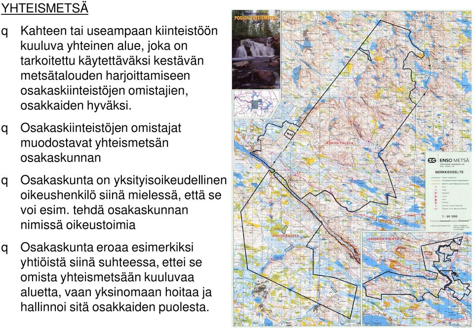 q Osakaskiinteistöjen omistajat muodostavat yhteismetsän osakaskunnan q Osakaskunta on yksityisoikeudellinen oikeushenkilö siinä mielessä,