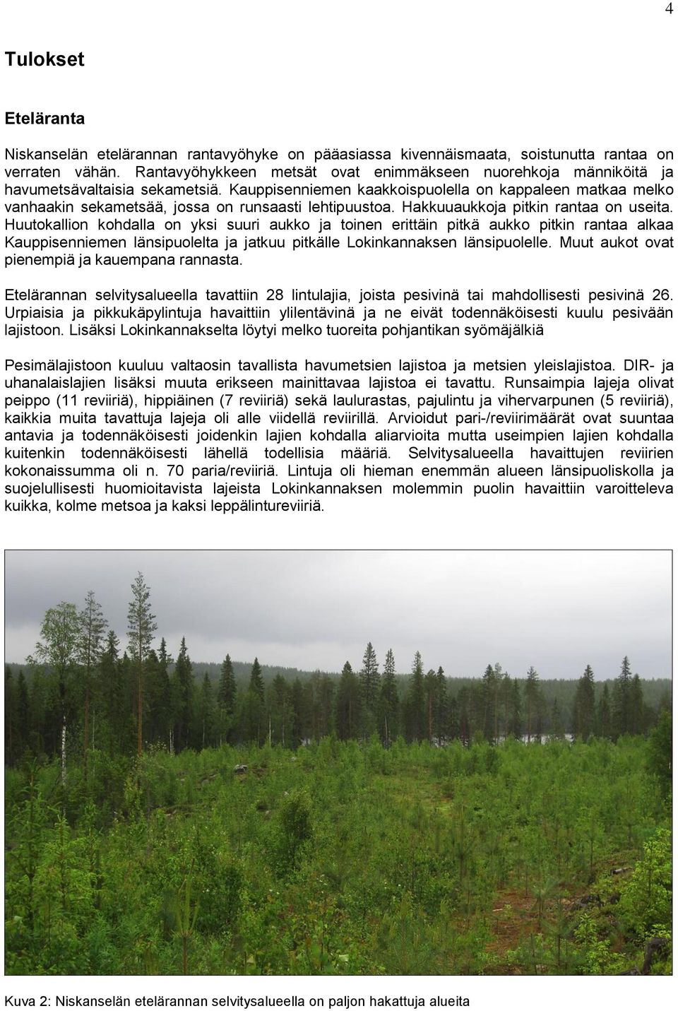 Kauppisenniemen kaakkoispuolella on kappaleen matkaa melko vanhaakin sekametsää, jossa on runsaasti lehtipuustoa. Hakkuuaukkoja pitkin rantaa on useita.