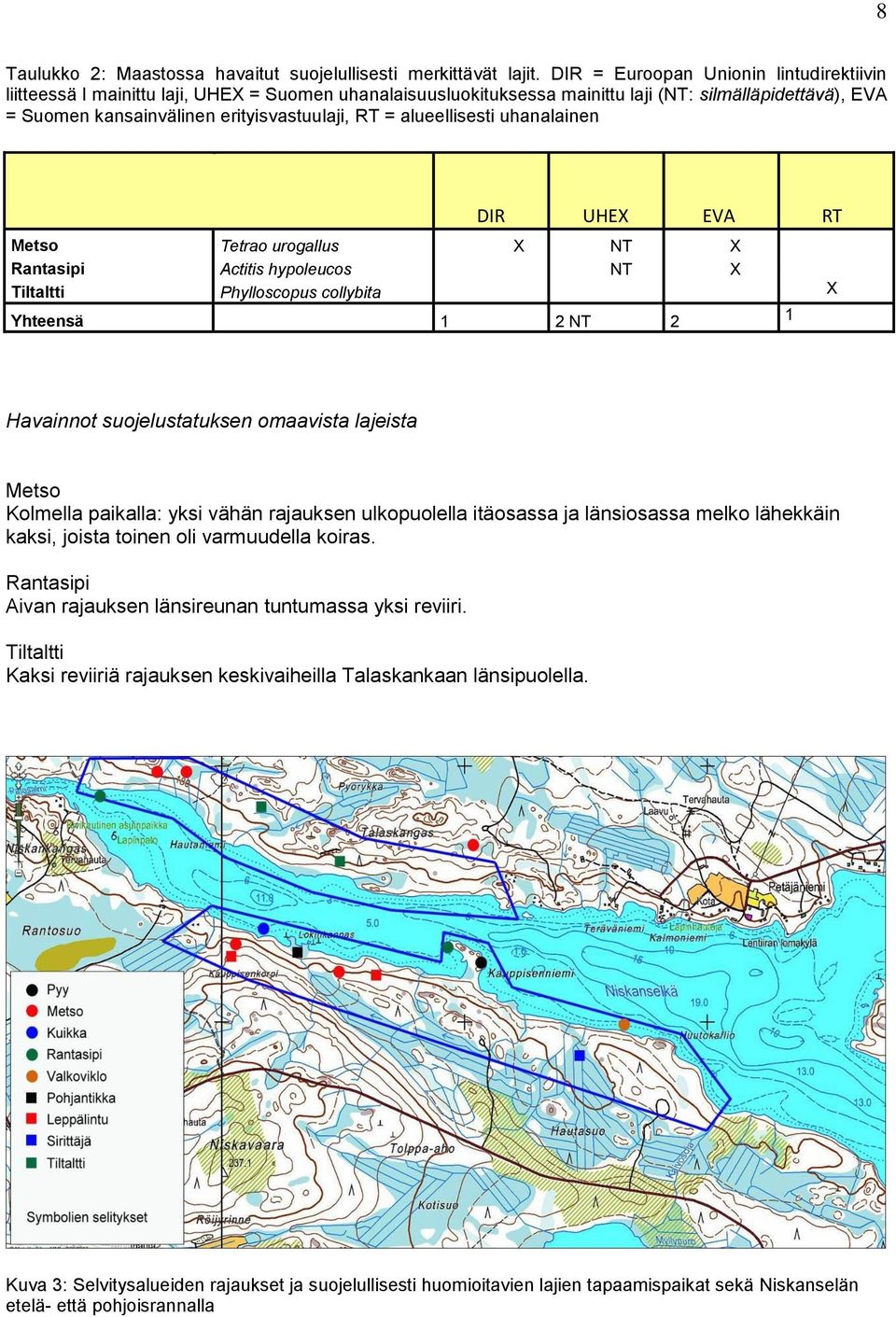 alueellisesti uhanalainen DIR UHEX EVA RT Metso Tetrao urogallus X NT X Rantasipi Actitis hypoleucos NT X Tiltaltti Phylloscopus collybita X Yhteensä 1 2 NT 2 1 Havainnot suojelustatuksen omaavista
