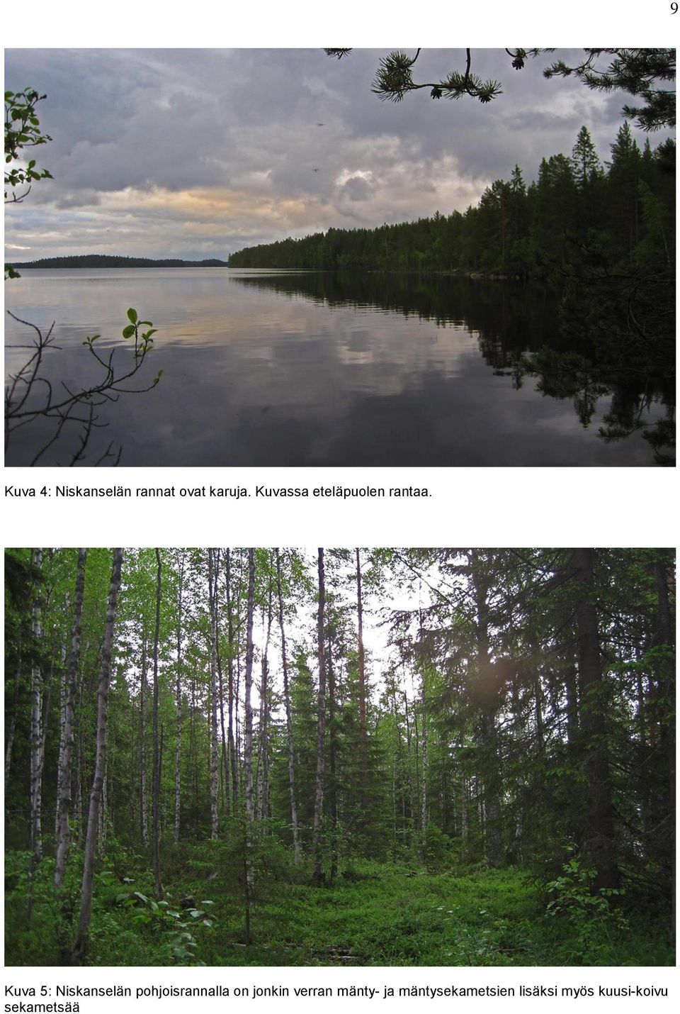 Kuva 5: Niskanselän pohjoisrannalla on jonkin