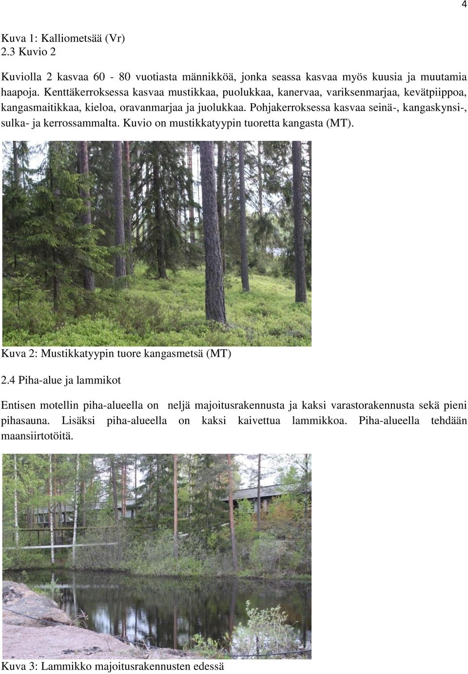 Pohjakerroksessa kasvaa seinä-, kangaskynsi-, sulka- ja kerrossammalta. Kuvio on mustikkatyypin tuoretta kangasta (MT). Kuva 2: Mustikkatyypin tuore kangasmetsä (MT) 2.