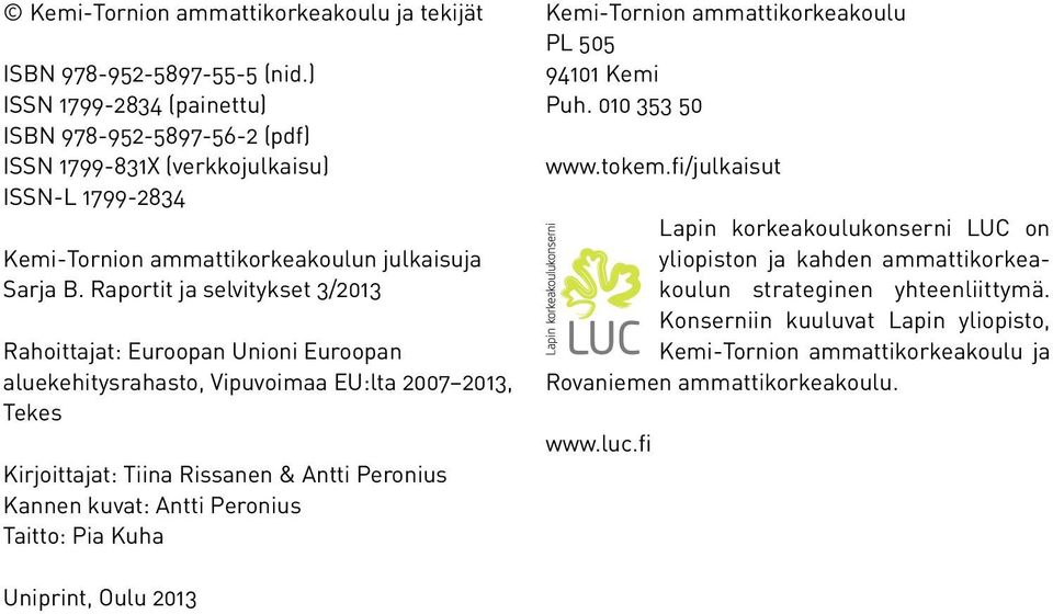 Raportit ja selvitykset 3/2013 Rahoittajat: Euroopan Unioni Euroopan aluekehitysrahasto, Vipuvoimaa EU:lta 2007 2013, Tekes Kirjoittajat: Tiina Rissanen & Antti Peronius Kannen kuvat: Antti