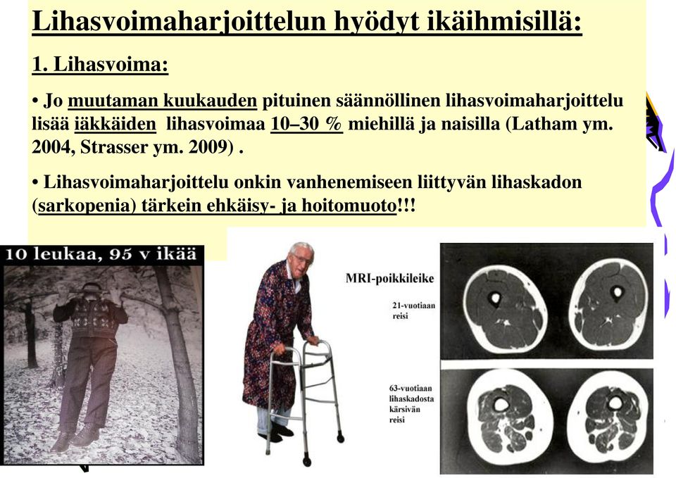 lisää iäkkäiden lihasvoimaa 10 30 % miehillä ja naisilla (Latham ym.
