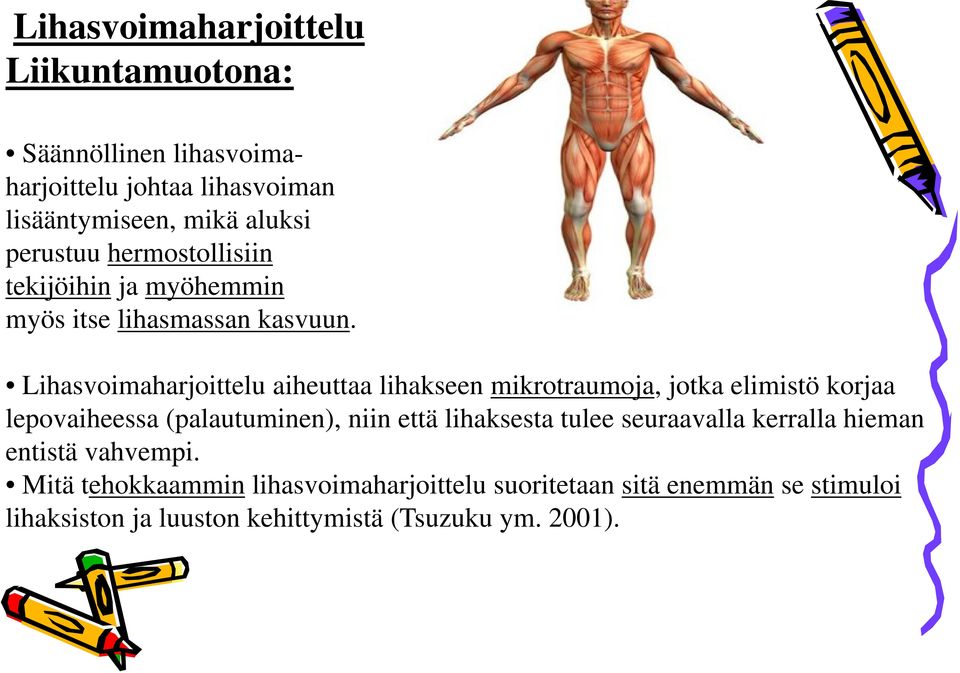 Lihasvoimaharjoittelu aiheuttaa lihakseen mikrotraumoja, jotka elimistö korjaa lepovaiheessa (palautuminen), niin että