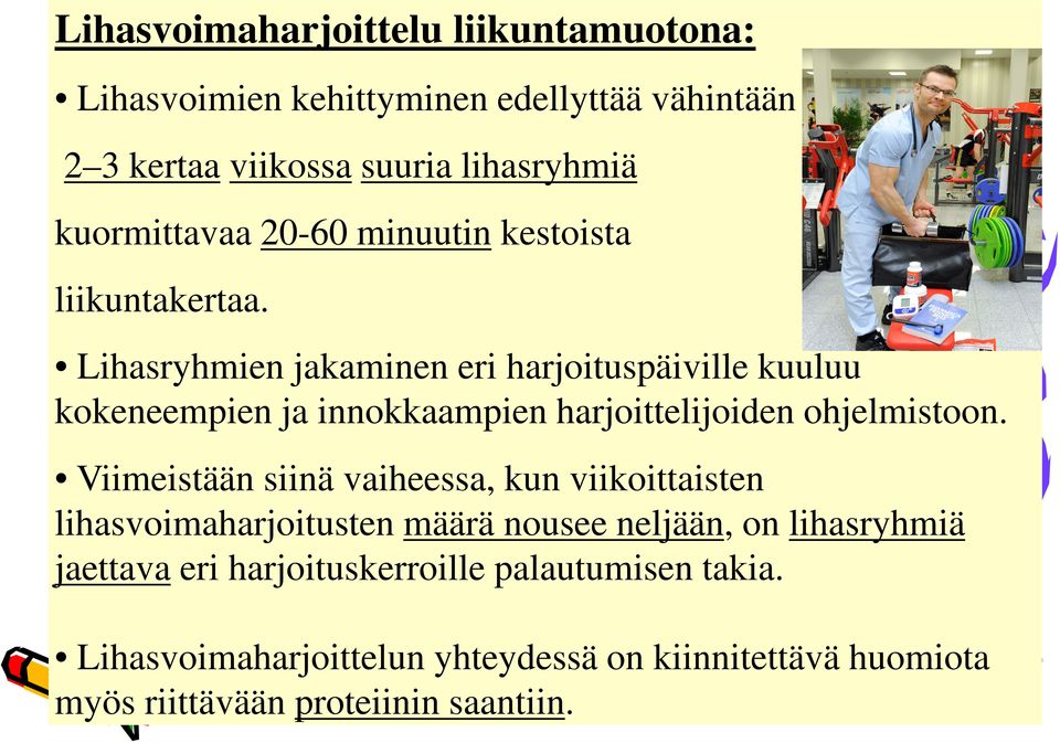 Lihasryhmien jakaminen eri harjoituspäiville kuuluu kokeneempien ja innokkaampien harjoittelijoiden ohjelmistoon.