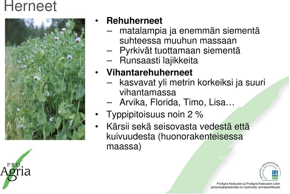 korkeiksi ja suuri vihantamassa Arvika, Florida, Timo, Lisa Typpipitoisuus noin 2 %