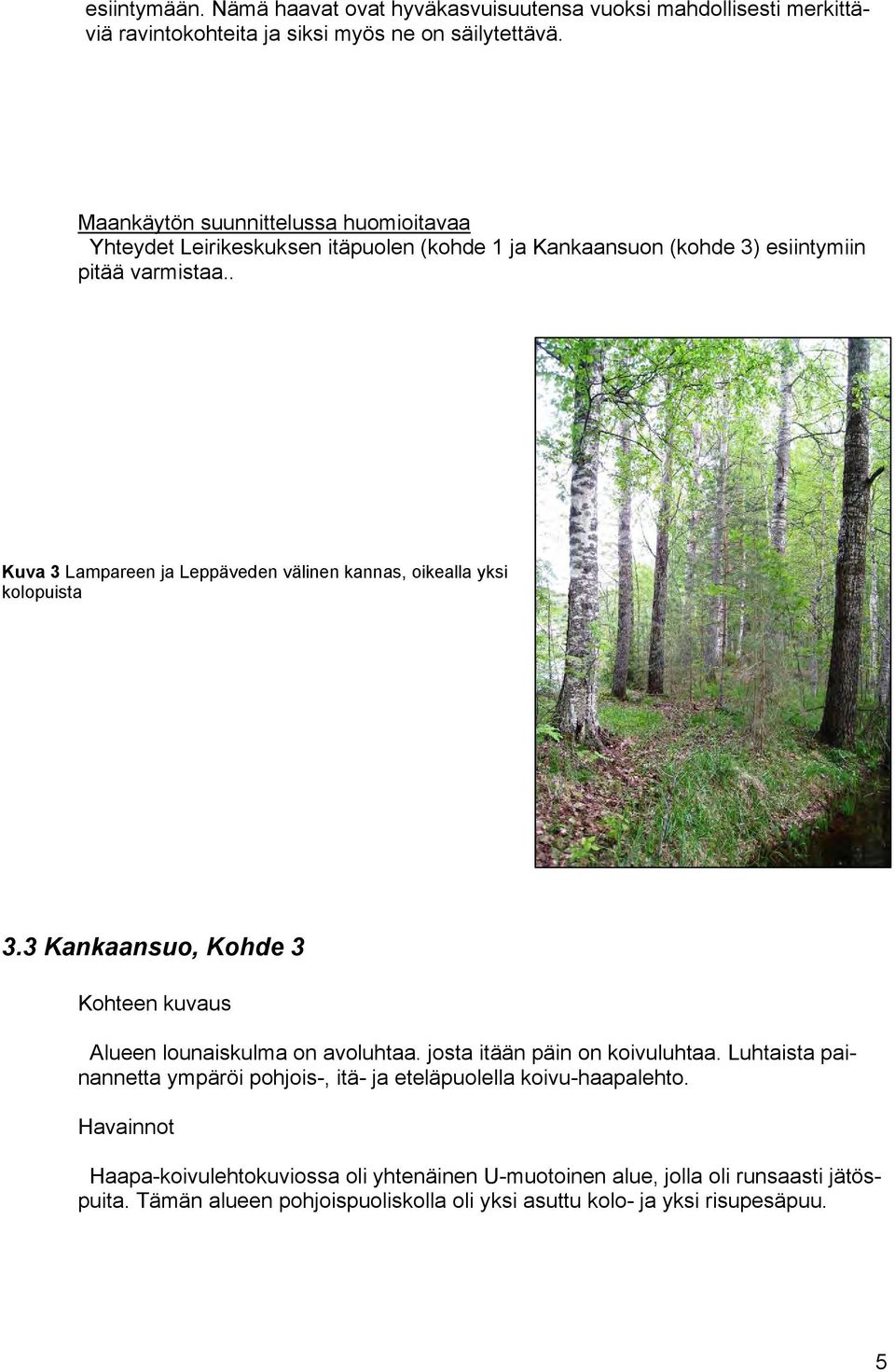 . Kuva 3 Lampareen ja Leppäveden välinen kannas, oikealla yksi kolopuista 3.3 Kankaansuo, Kohde 3 Kohteen kuvaus Alueen lounaiskulma on avoluhtaa.