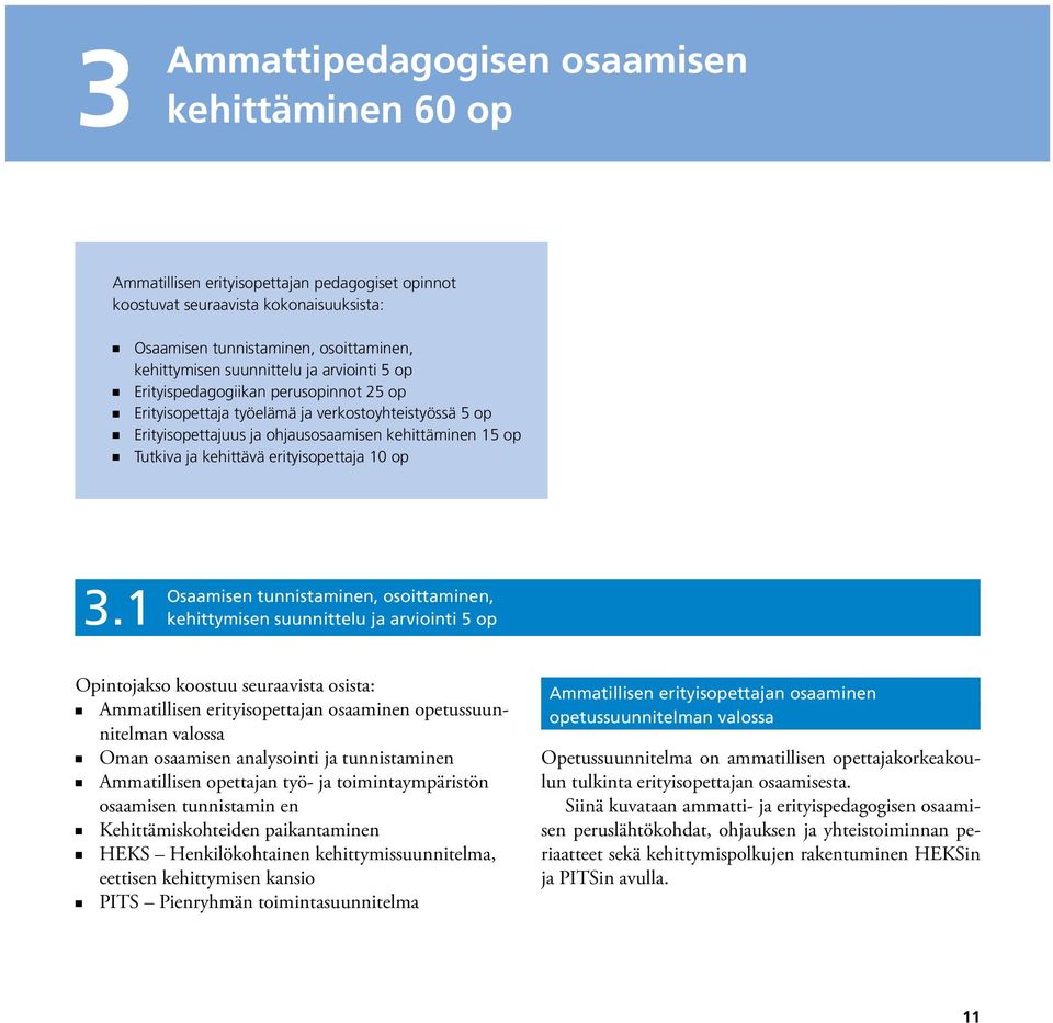 Tutkiva ja kehittävä erityisopettaja 10 op 3.