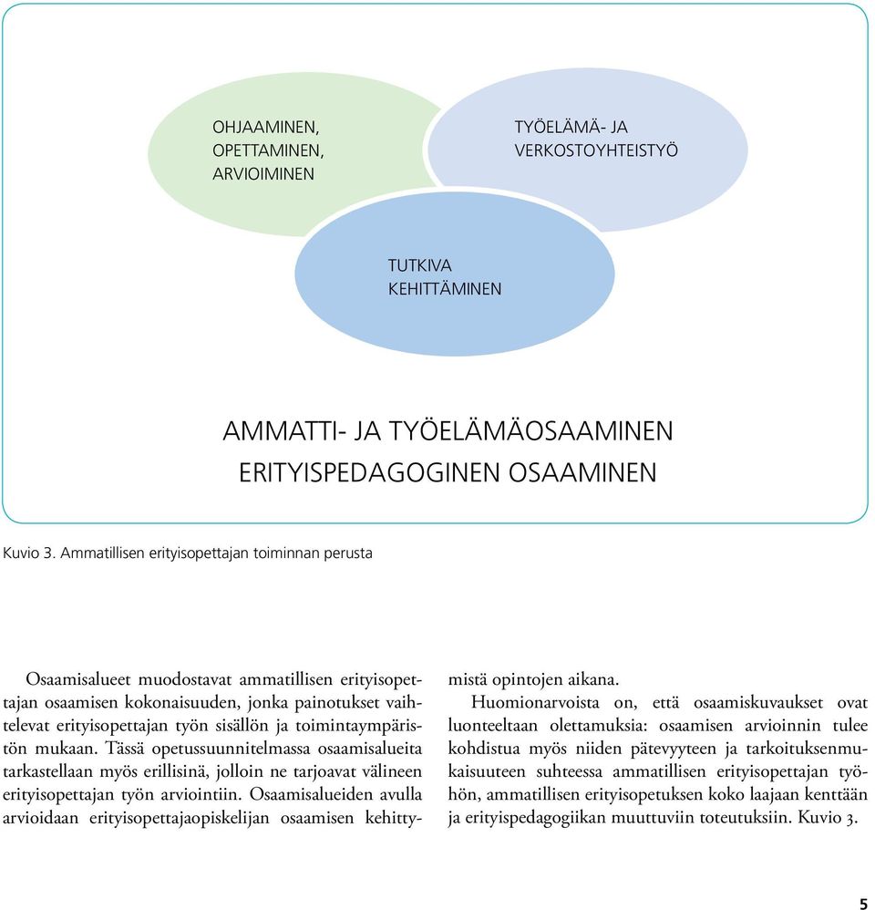 toimintaympäristön mukaan. Tässä opetussuunnitelmassa osaamisalueita tarkastellaan myös erillisinä, jolloin ne tarjoavat välineen erityisopettajan työn arviointiin.