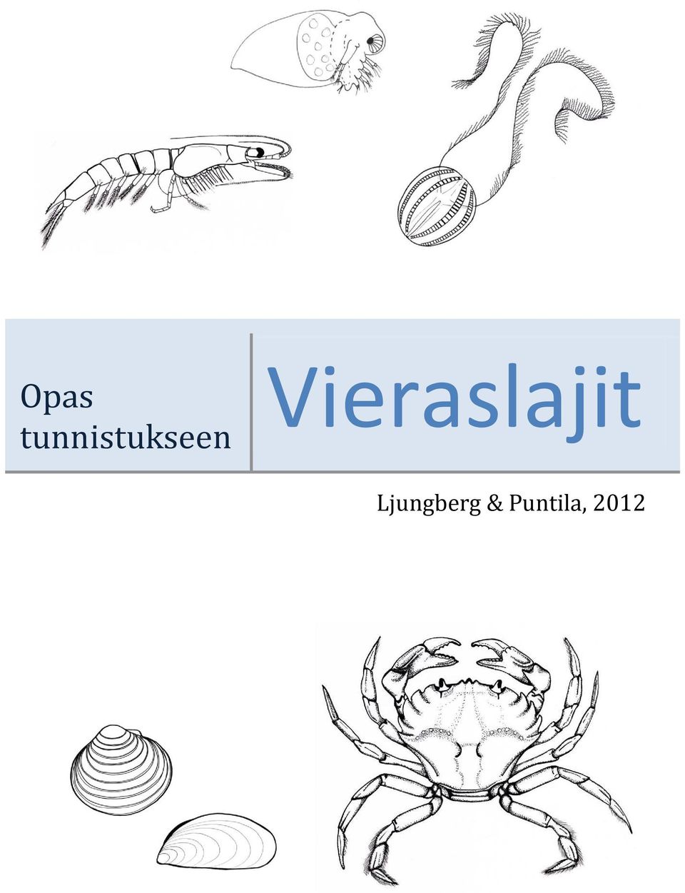 tunnistukseen