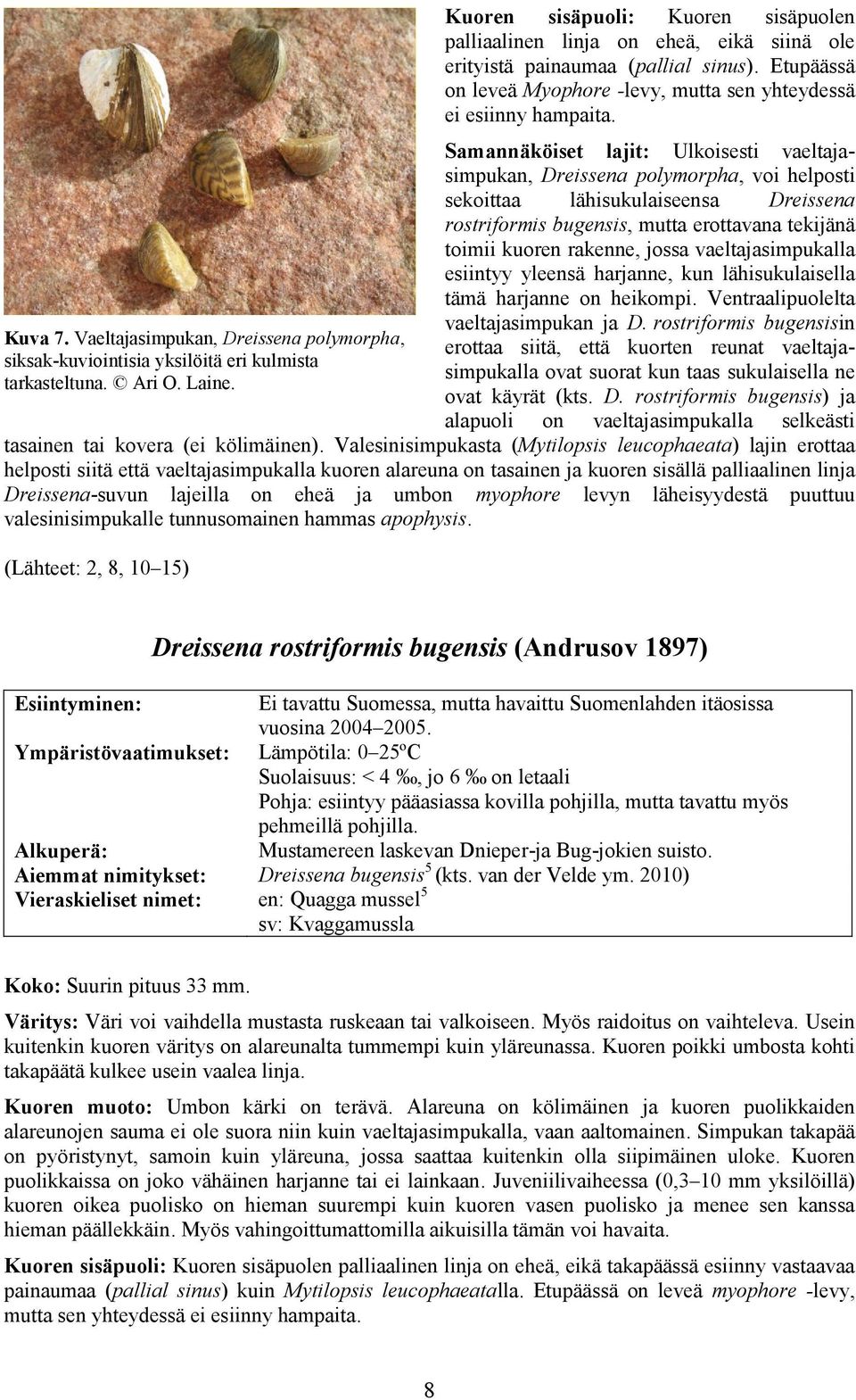 Samannäköiset lajit: Ulkoisesti vaeltajasimpukan, Dreissena polymorpha, voi helposti sekoittaa lähisukulaiseensa Dreissena rostriformis bugensis, mutta erottavana tekijänä toimii kuoren rakenne,