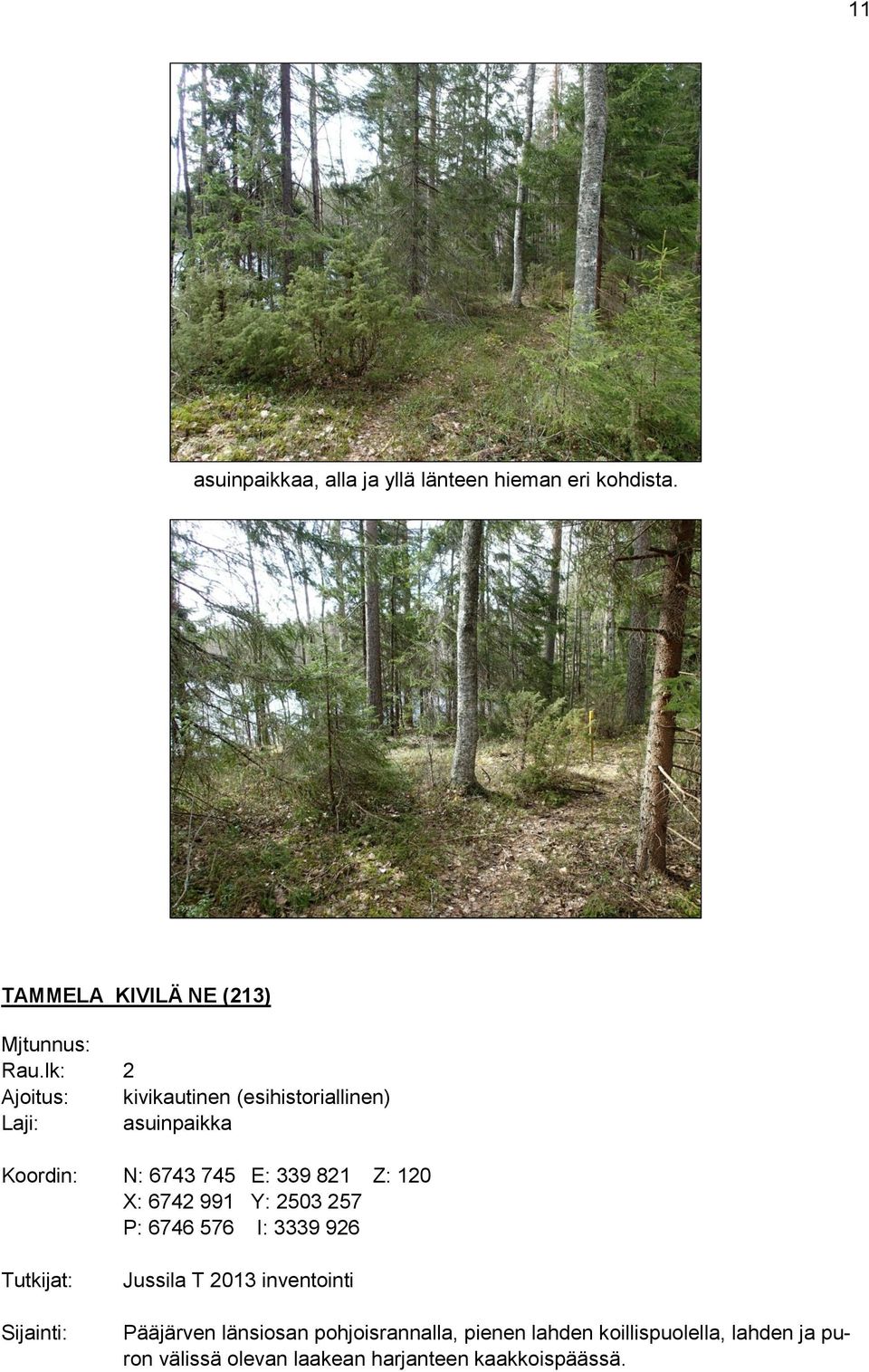 6742 991 Y: 2503 257 P: 6746 576 I: 3339 926 Tutkijat: Sijainti: Jussila T 2013 inventointi Pääjärven