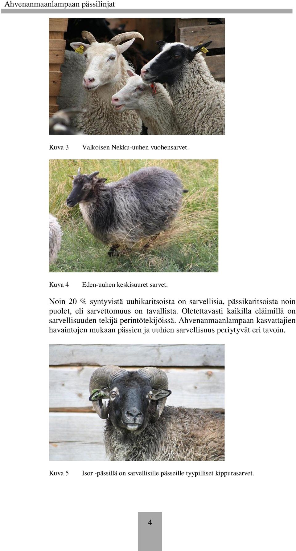 Oletettavasti kaikilla eläimillä on sarvellisuuden tekijä perintötekijöissä.