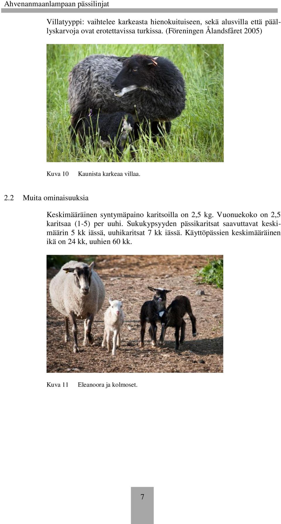 Vuonuekoko on 2,5 karitsaa (1-5) per uuhi.