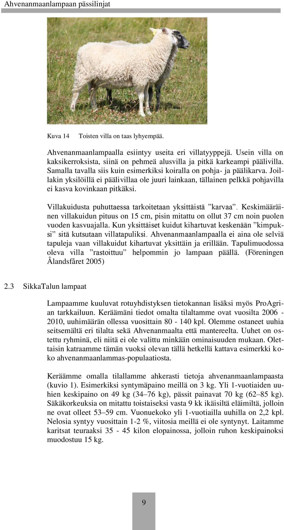 Villakuidusta puhuttaessa tarkoitetaan yksittäistä karvaa. Keskimääräinen villakuidun pituus on 15 cm, pisin mitattu on ollut 37 cm noin puolen vuoden kasvuajalla.