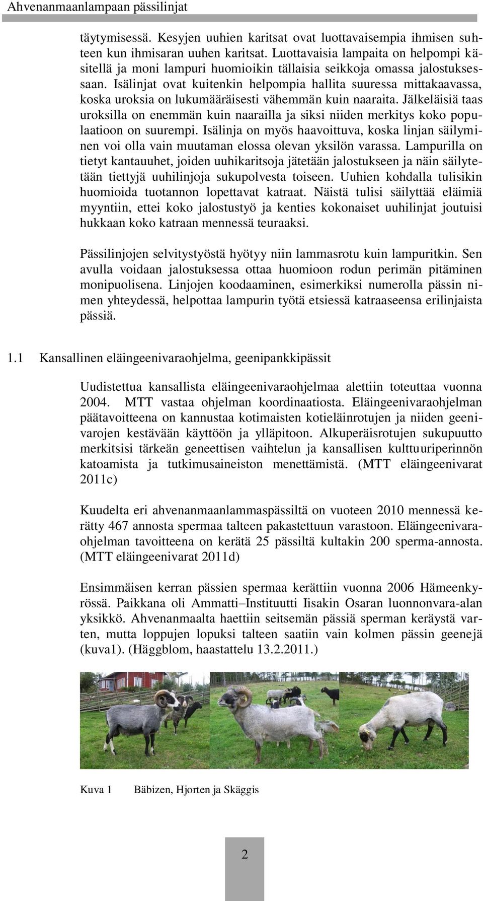 Isälinjat ovat kuitenkin helpompia hallita suuressa mittakaavassa, koska uroksia on lukumääräisesti vähemmän kuin naaraita.