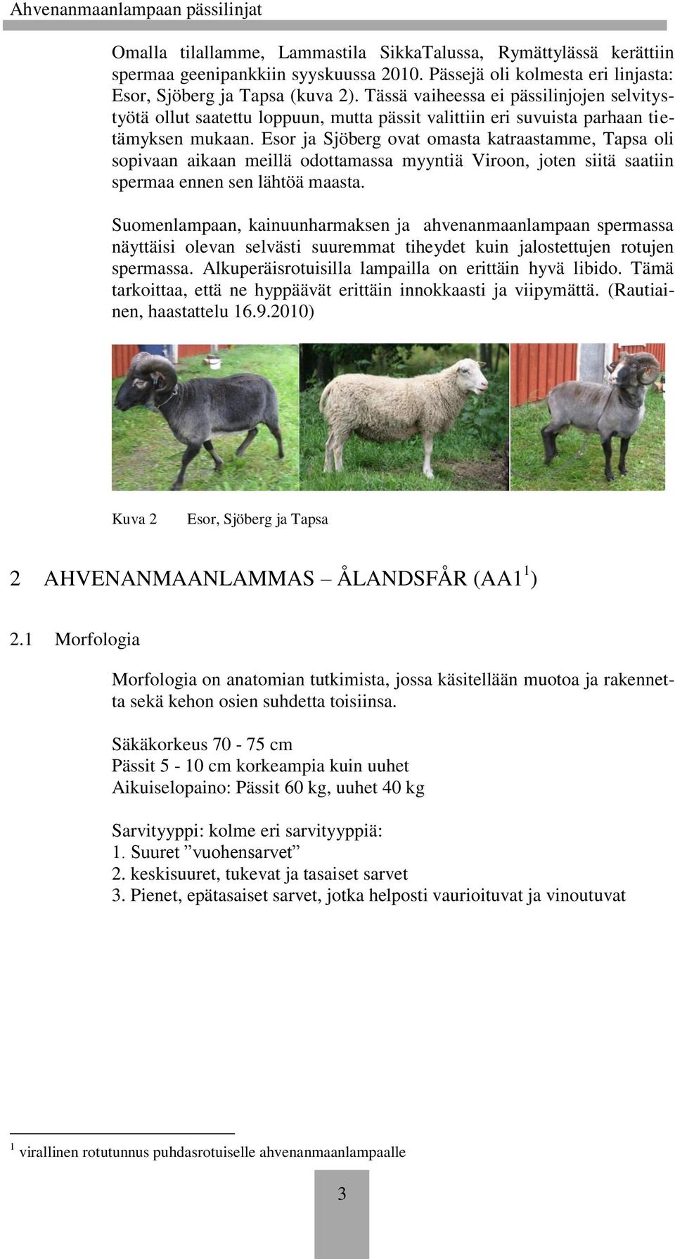 Esor ja Sjöberg ovat omasta katraastamme, Tapsa oli sopivaan aikaan meillä odottamassa myyntiä Viroon, joten siitä saatiin spermaa ennen sen lähtöä maasta.