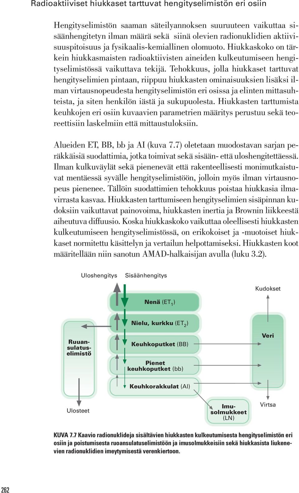 Tehokkuus, jolla hiukkaset tarttuvat hengityselimien pintaan, riippuu hiukkasten ominaisuuksien lisäksi ilman virtausnopeudesta hengityselimistön eri osissa ja elinten mittasuhteista, ja siten